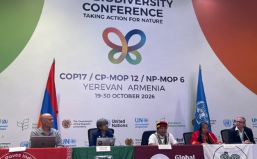 One in Five Tropical Biodiversity Sites Overlapped by Mining Concessions, COP17 Report Finds