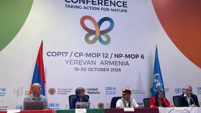 One in Five Tropical Biodiversity Sites Overlapped by Mining Concessions, COP17 Report Finds