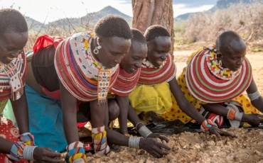 Can Kenya’s Gum Arabic Trade Help Protect Its Drylands?