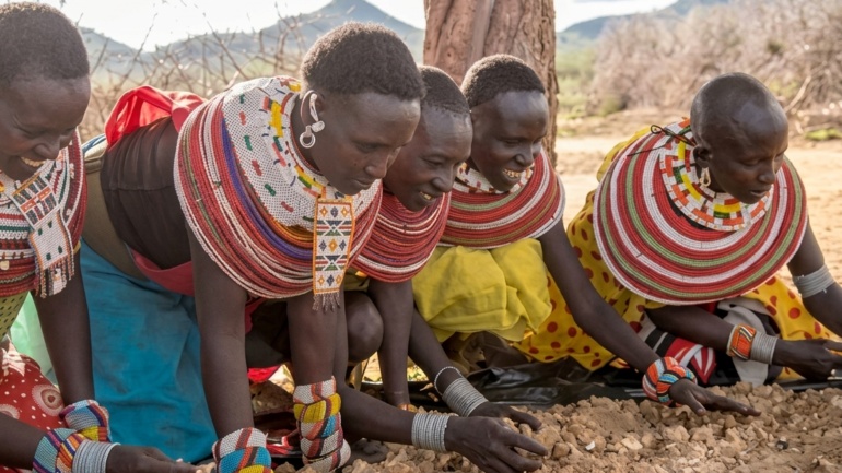 Can Kenya’s Gum Arabic Trade Help Protect Its Drylands?
