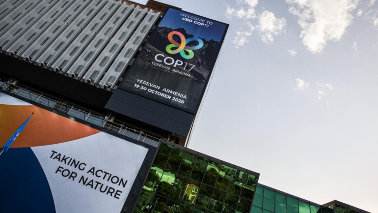 The World Has a Plan to Save Nature. Can It Deliver by 2030?