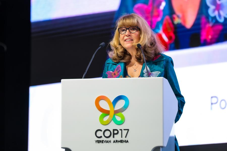 COP17