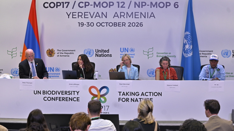 COP17 Puts Ocean Protection in Focus, but Delivery Remains Uncertain