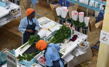 Cybersecurity in the Floriculture Industry