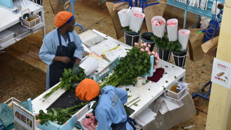Cybersecurity in the Floriculture Industry