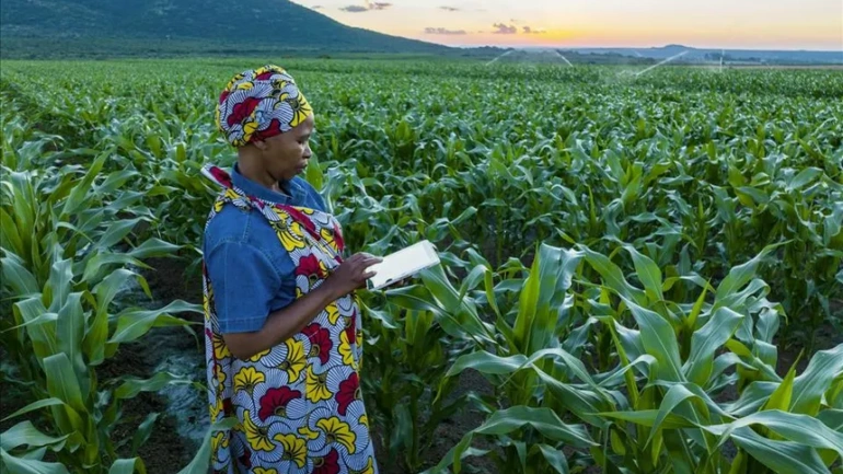 Digital Tools for Export-Ready Farming in Kenya