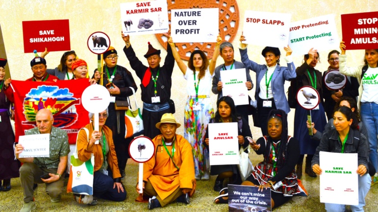 From Buffalo to Orangutans, Indigenous Leaders Challenge the Business of Wildlife Offsets