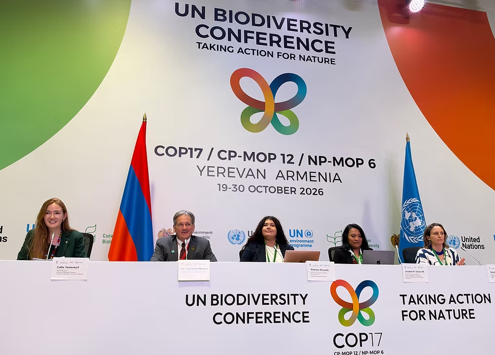 From Indigenous Territories to the UN: The Growing Movement for the Rights of Nature