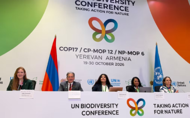 From Indigenous Territories to the UN: The Growing Movement for the Rights of Nature