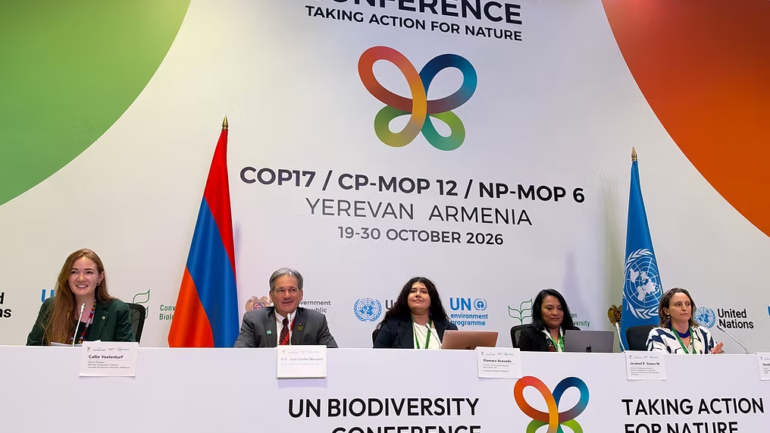 From Indigenous Territories to the UN: The Growing Movement for the Rights of Nature