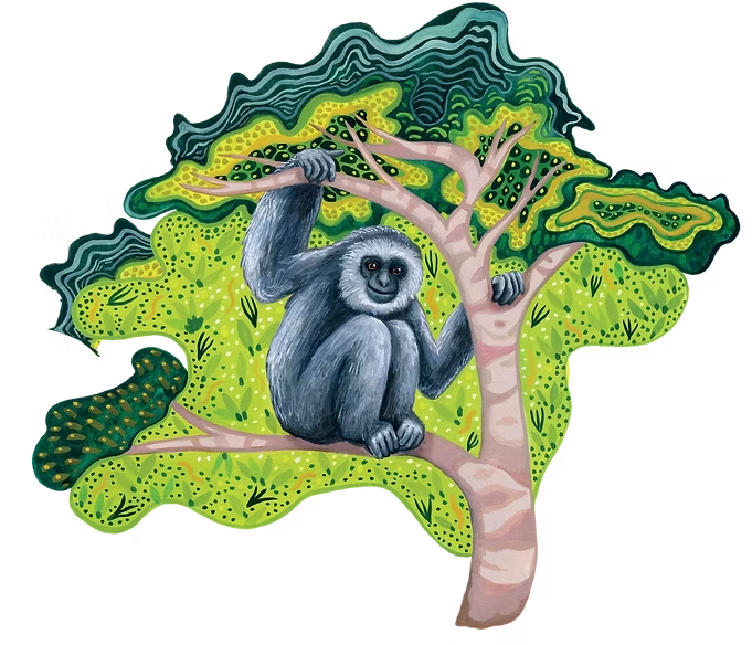 Rights of Nature